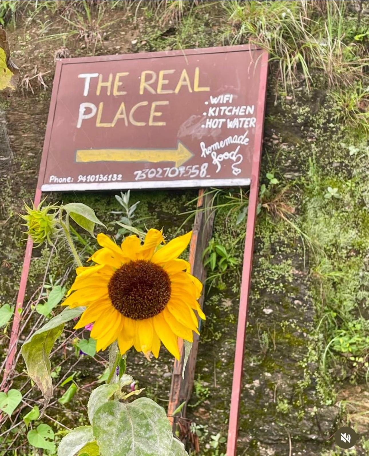 The Real Place Almora Εξωτερικό φωτογραφία
