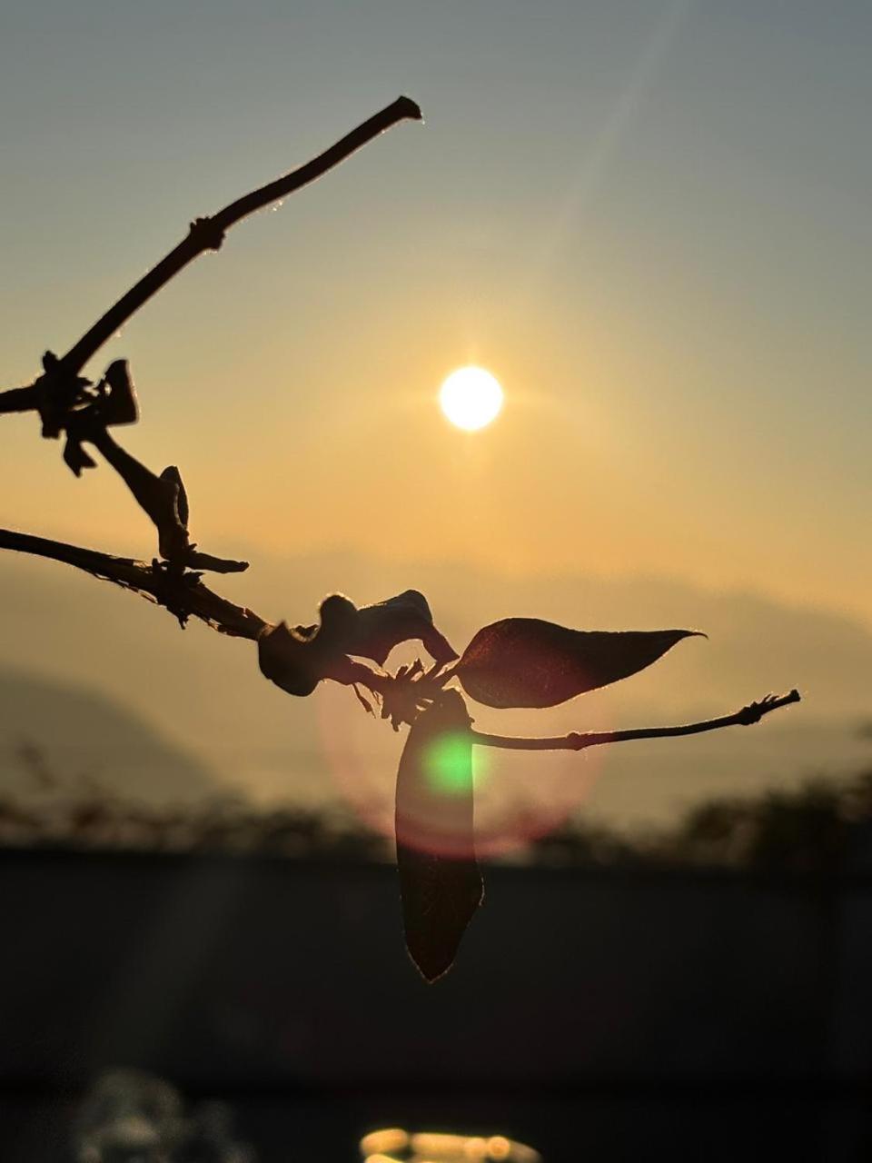 The Real Place Almora Εξωτερικό φωτογραφία